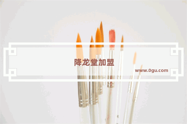 降龙堂加盟