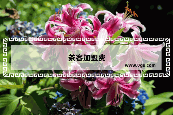 茶客加盟费