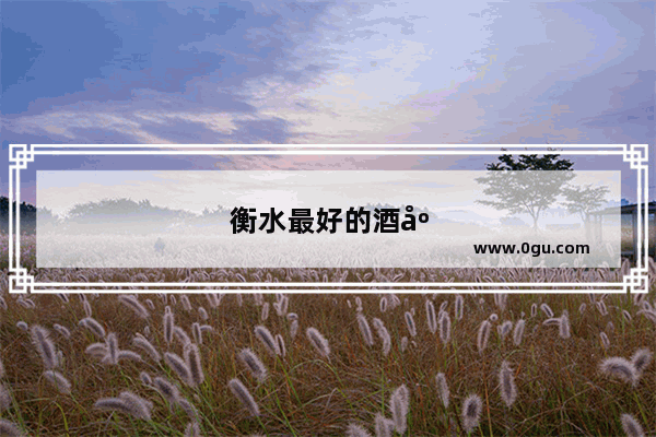 衡水最好的酒店是哪个