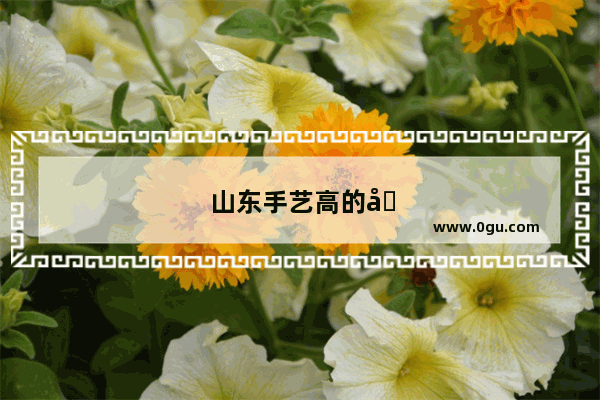 山东手艺高的加盟小吃店有哪些