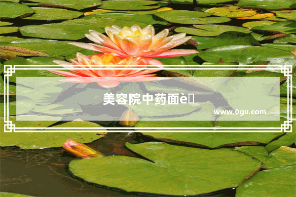 美容院中药面膜加盟