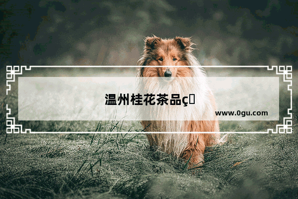温州桂花茶品牌加盟店排行榜