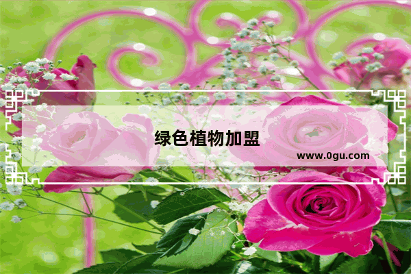 绿色植物加盟