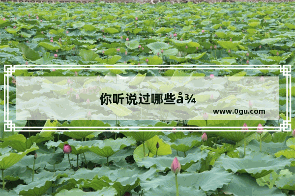 你听说过哪些很“恶心”的话