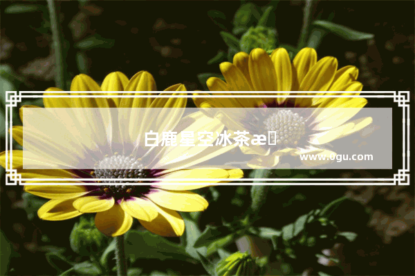 白鹿星空冰茶是啥