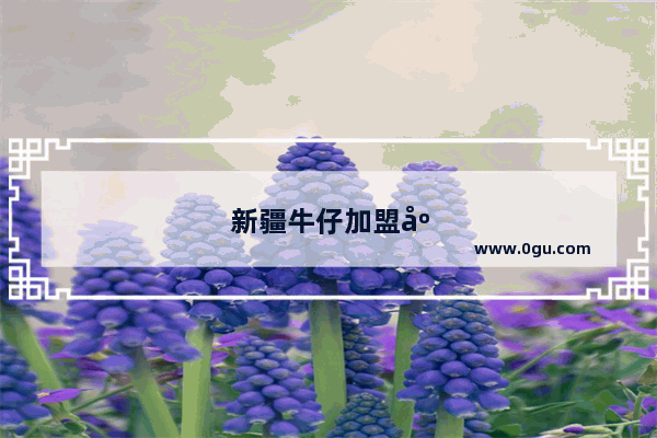 新疆牛仔加盟店排行榜前十名