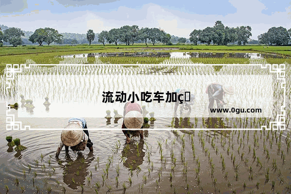 流动小吃车加盟需要多少钱