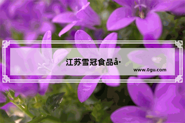 江苏雪冠食品工贸有限公司怎么样