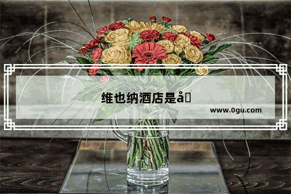 维也纳酒店是加盟的么还是直营