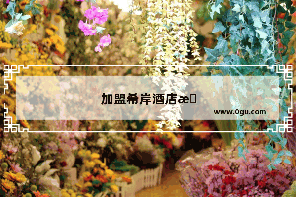 加盟希岸酒店怎样赚钱