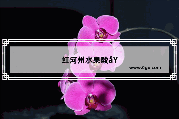 红河州水果酸奶加盟怎么选