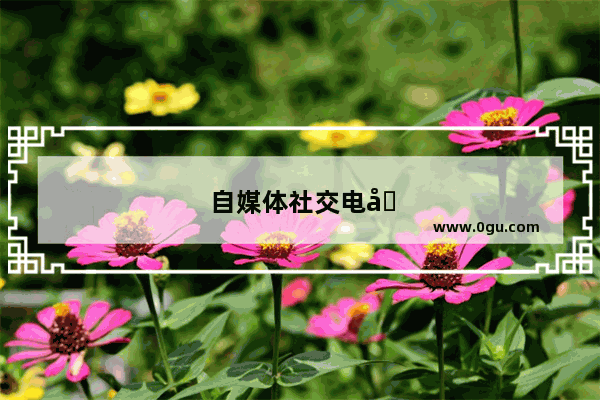 自媒体社交电商给农村带来的商机？你怎么看