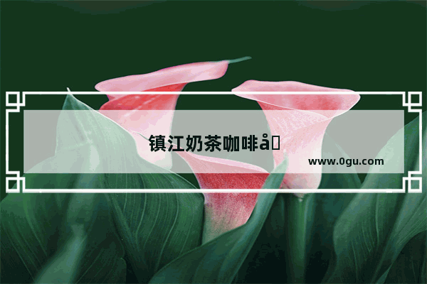 镇江奶茶咖啡加盟费用多少