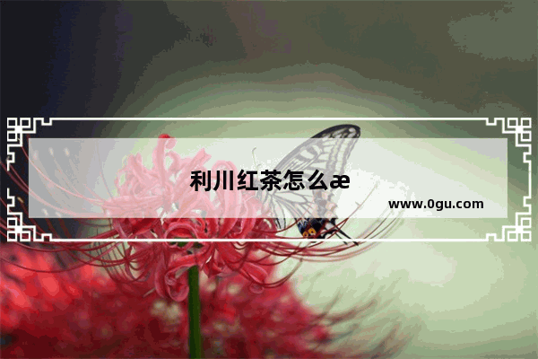 利川红茶怎么样