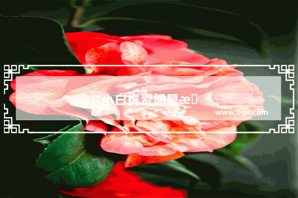 小白携资加盟无忧车管家靠谱吗