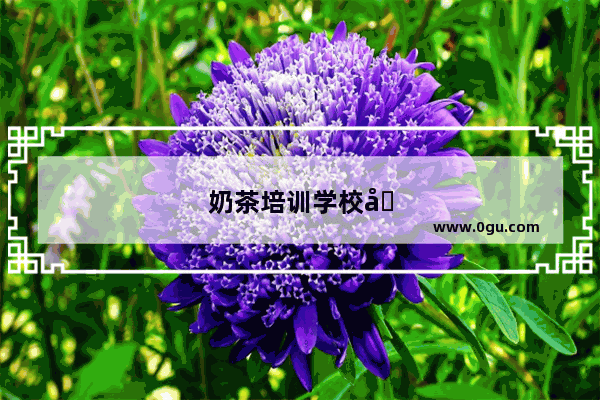 奶茶培训学校哪里好 哪里可以学做奶茶