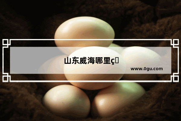山东威海哪里的渔具批发市场大