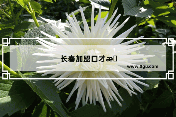 长春加盟口才教育品牌店