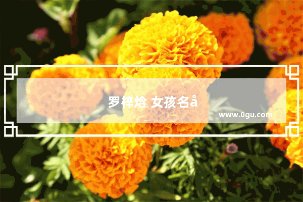 罗梓焓 女孩名字的含义