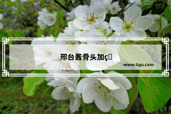 邢台酱骨头加盟怎么选