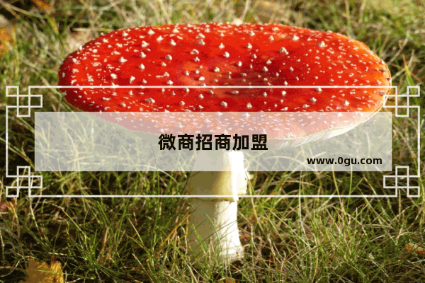 微商招商加盟