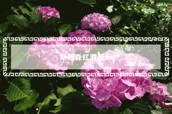斯坦森红酒是什么档次