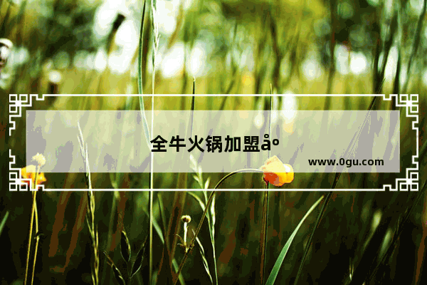 全牛火锅加盟店排行榜前十名