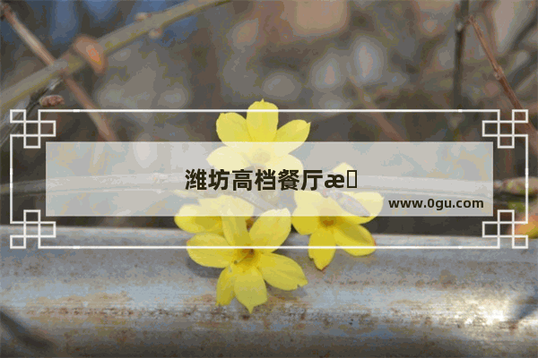 潍坊高档餐厅排名