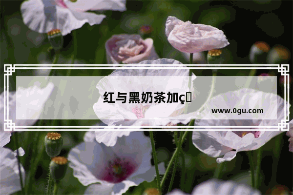 红与黑奶茶加盟
