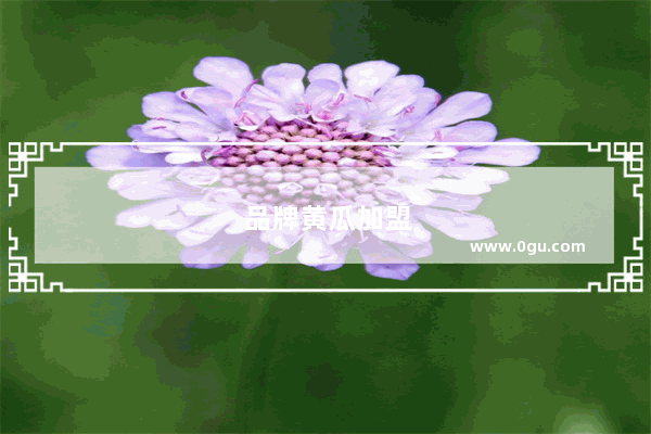 品牌黄瓜加盟