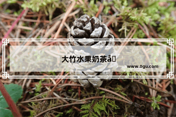 大竹水果奶茶加盟多少钱一个月
