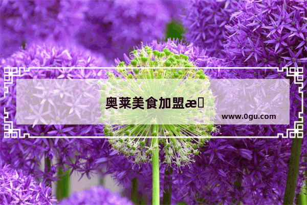 奥莱美食加盟条件是什么