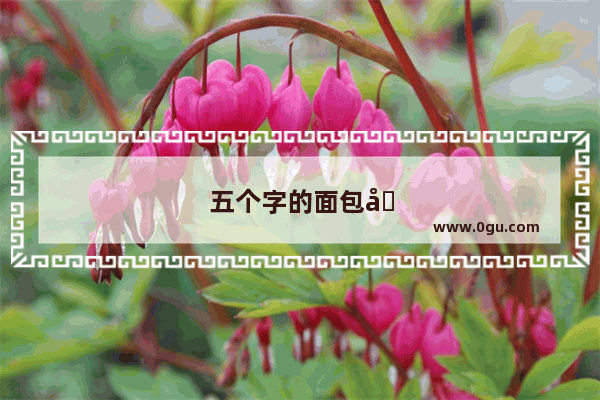 五个字的面包名称