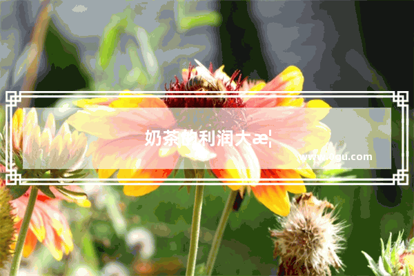 奶茶的利润大概有多少