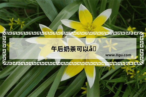 午后奶茶可以加盟吗