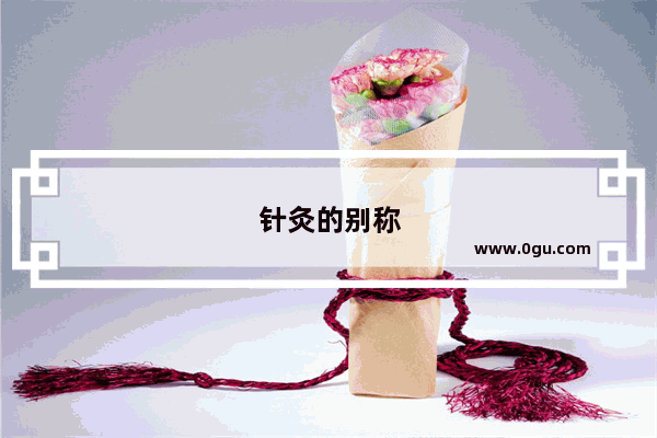 针灸的别称