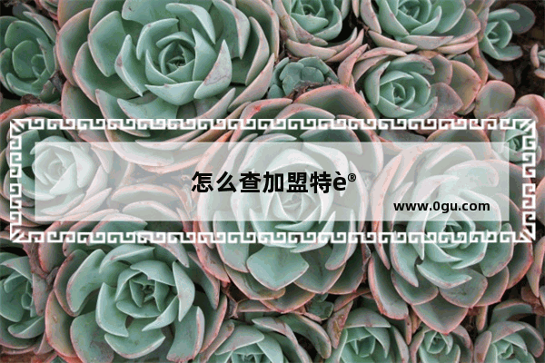 怎么查加盟特许经营资质证书