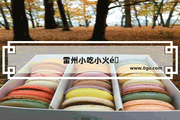 雷州小吃小火锅加盟店有哪些