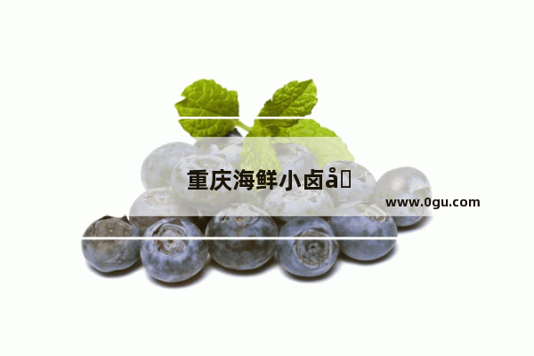 重庆海鲜小卤加盟店