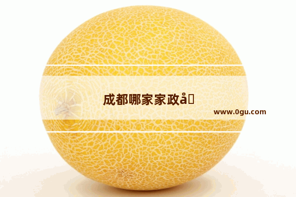 成都哪家家政公司最好