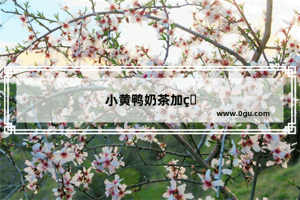 小黄鸭奶茶加盟公司可靠吗