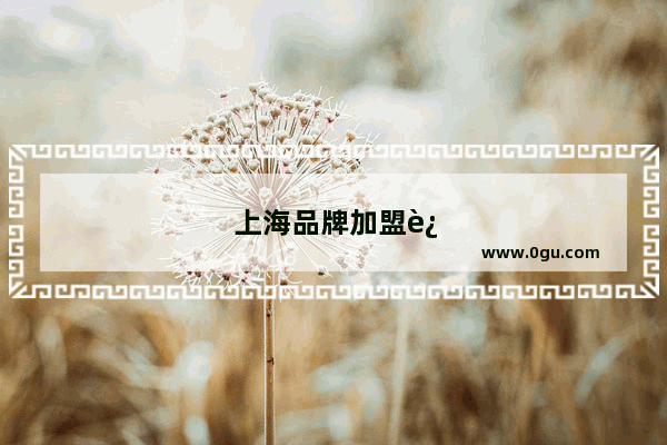 上海品牌加盟连锁有哪些