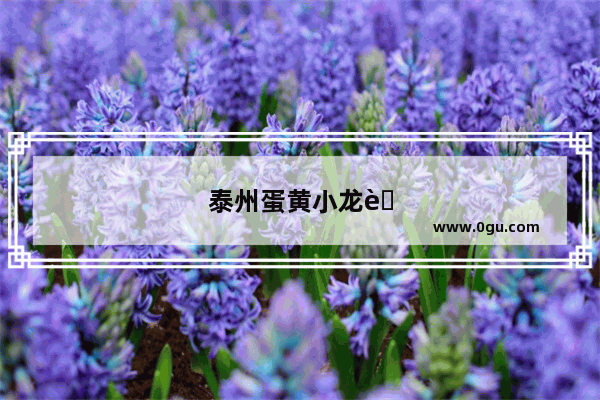 泰州蛋黄小龙虾加盟店排行榜最新