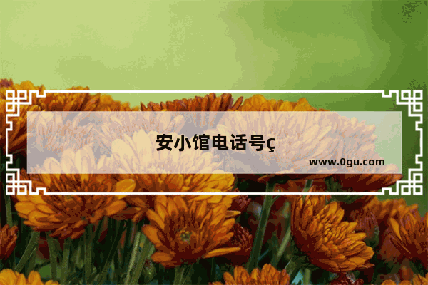 安小馆电话号码是多少