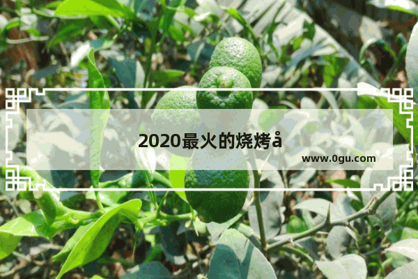 2020最火的烧烤加盟店排行榜图片