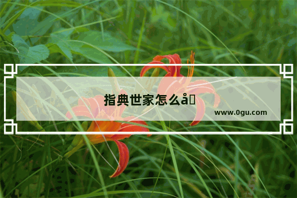 指典世家怎么加盟代理
