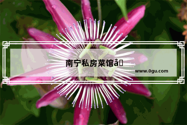 南宁私房菜馆加盟店排行榜前十名