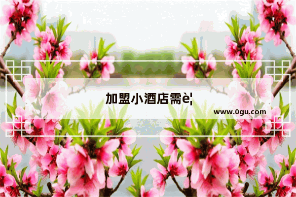 加盟小酒店需要多少钱