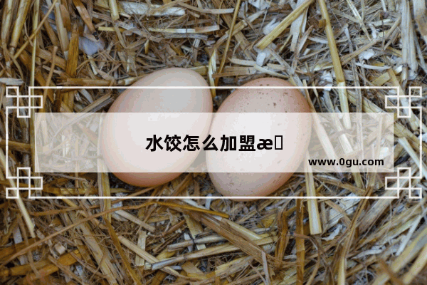 水饺怎么加盟推荐店铺