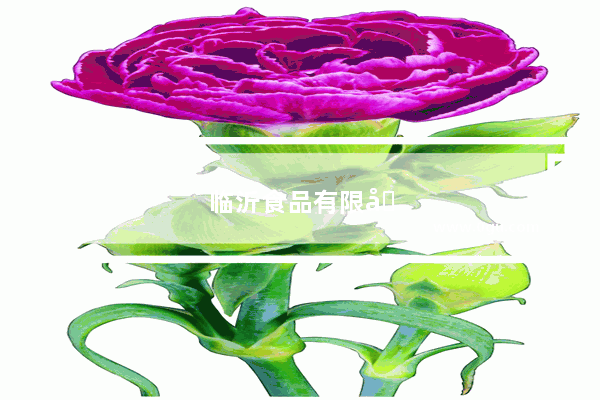 临沂食品有限公司有多少家